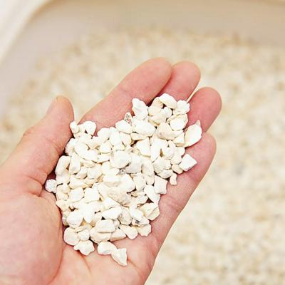 ふるさと納税 邑楽町 ネコのトイレ砂 5kg(約7L)×2袋 株式会社チャーム charm|09_chm-dq0201の画像