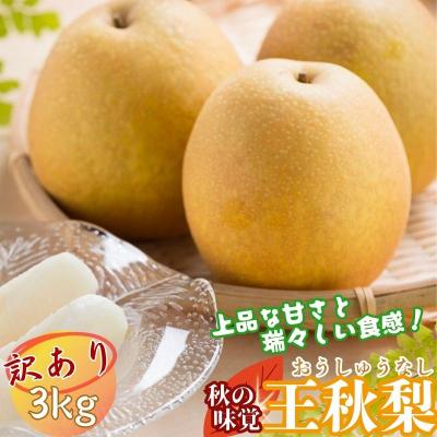 ふるさと納税 八頭町 [訳あり] 王秋梨 3kg [2026年10月以降順次発送]