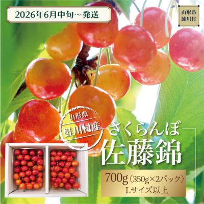 ふるさと納税 鮭川村 鮭川村産さくらんぼ <佐藤錦> Lサイズ以上バラ詰め 700g