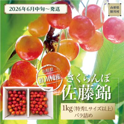 ふるさと納税 鮭川村 鮭川村産さくらんぼ <佐藤錦> 特秀L以上バラ詰 1kg(500g×2P)