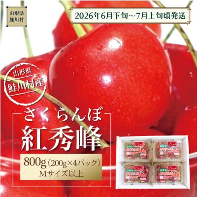 ふるさと納税 鮭川村 鮭川村産さくらんぼ <紅秀峰> フードパック800g(200g×4P)