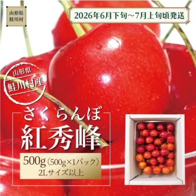 ふるさと納税 鮭川村 鮭川村産さくらんぼ <紅秀峰> 特秀2Lサイズ以上バラ詰め 500g