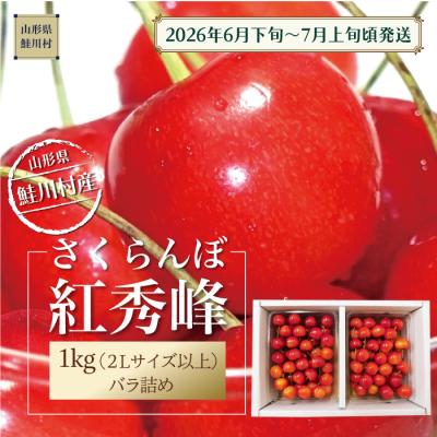 ふるさと納税 鮭川村 鮭川村産さくらんぼ <紅秀峰> 特秀2L以上バラ詰1kg(500g×2P)