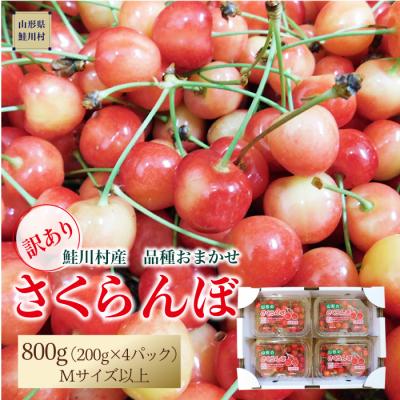 ふるさと納税 鮭川村 ★訳あり★ 鮭川村産さくらんぼ [品種おまかせ]800g(200g×4P)
