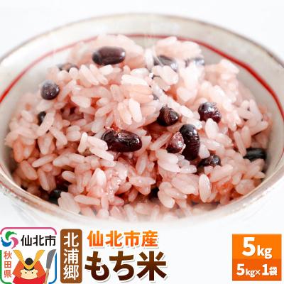 ふるさと納税 仙北市 仙北市産 令和7年産 もち米 5kg1袋|02_kum-021001