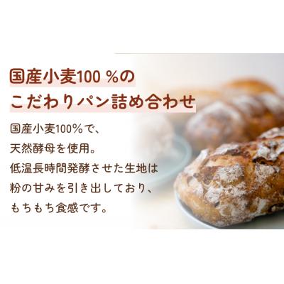 ふるさと納税 名取市 【2ヵ月定期便】名取 閖上 の ぱんやこてつ 手作り 国産小麦のハード系パンセット