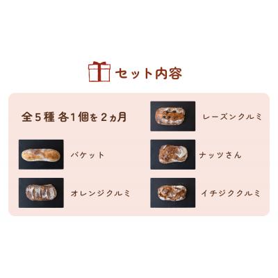 ふるさと納税 名取市 【2ヵ月定期便】名取 閖上 の ぱんやこてつ 手作り 国産小麦のハード系パンセット