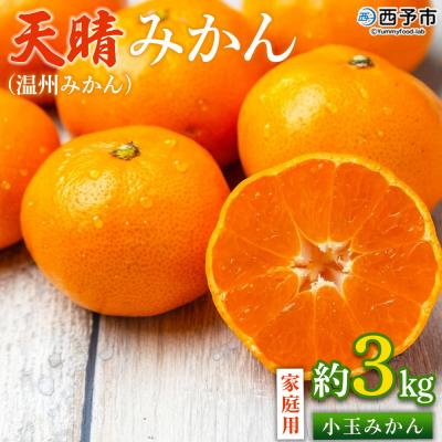 ふるさと納税 西予市 [先行受付]<愛媛県明浜産 天晴みかん(温州みかん)約3kg 小玉サイズ>家庭用 訳あり笑丸
