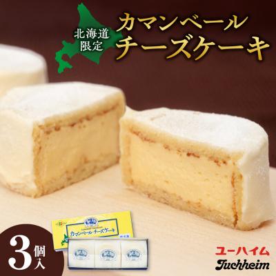 ふるさと納税 札幌市 カマンベールチーズケーキ(3個入)_hs469-001