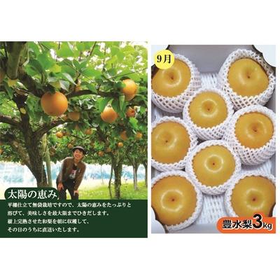 ふるさと納税 上山市 【定期便:全2回】アルコアーナ農園のフルーツ定期便Aコース 0148-2604の画像