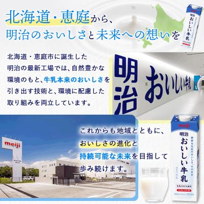 ふるさと納税 恵庭市 《配送地域限定》【定期便9回】明治おいしい牛乳 900ml【4本】【73004701】_2