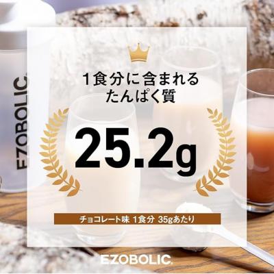 ふるさと納税 下関市 【定期便3回】チョコレート風味 1kg EZOBOLIC プロテイン LG103-A_2