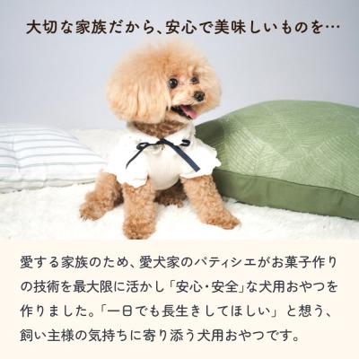 ふるさと納税 石巻市 ワンちゃんのおやつ 鶏 豚 鰹 MIX 4袋 ドッグフード 犬 おやつ 無添加 グルテンフリー 国産の画像