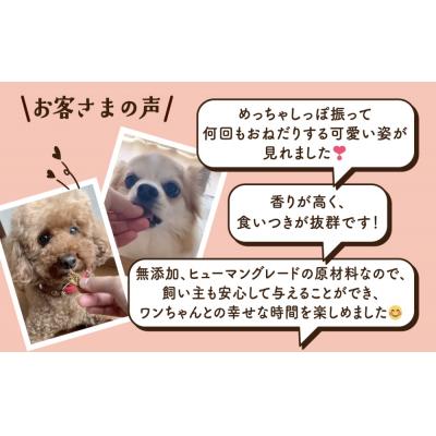 ふるさと納税 石巻市 ワンちゃんのおやつ 鶏 豚 鰹 MIX 4袋 ドッグフード 犬 おやつ 無添加 グルテンフリー 国産の画像