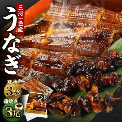 ふるさと納税 幸田町 三河一色産 うなぎ蒲焼き 中3尾 + 肝串焼き 3本 蒲焼タレ 肝串焼き 鰻 お魚 湯煎 惣菜