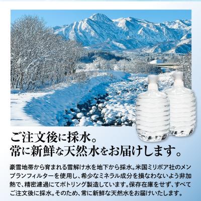 ふるさと納税 妙高市 妙高山麓の天然水8L (2本×12回)計24本 +卓上式ウォーターサーバー付きの画像