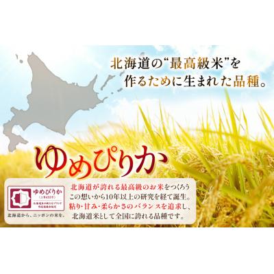 ふるさと納税 砂川市 米 令和7年 北海道産 ゆめぴりか 無洗米 5kg 3回