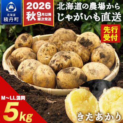 ふるさと納税 積丹町 [先行受付 2026年9月より順次発送]北海道積丹町産 じゃがいも きたあかり5kg 栗じゃが