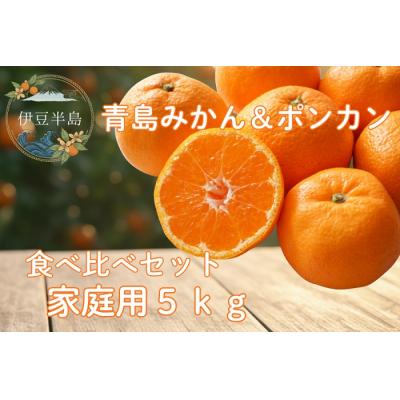 ふるさと納税 東伊豆町 東伊豆・青島みかん&amp;ぽんかん 食べ比べセット 5kg以上(サイズ混玉) 1402 / 佐藤農園