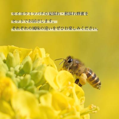 https://item-shopping.c.yimg.jp/i/n/y-sf_3334771_3_d_20251222111522