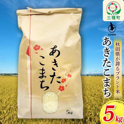 ふるさと納税 三種町 白米 あきたこまち 5kg 秋田県産 令和7年産 Sands|05_snd-010501