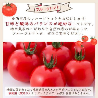 ふるさと納税 香南市 【2027年1月以降発送】フルーツトマト 1kg 家庭用 高知 訳あり トマト yr-0066_1