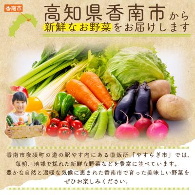 ふるさと納税 香南市 【2027年1月以降発送】フルーツトマト 1kg 家庭用 高知 訳あり トマト yr-0066_2