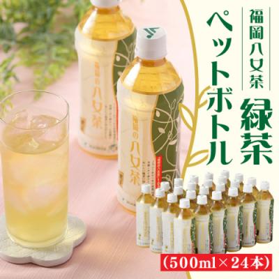 ふるさと納税 新宮町 福岡八女茶のペットボトル.緑茶(500ml×24本)[八女茶]