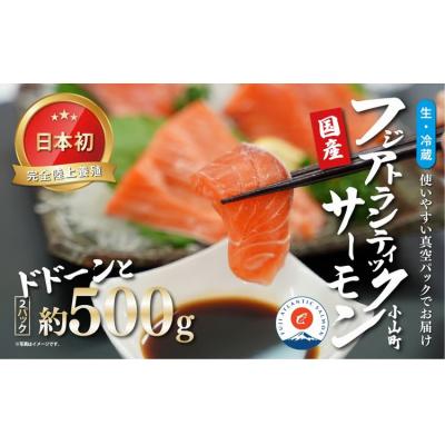 ふるさと納税 小山町 日本初 完全陸上養殖 フジアトランティックサーモン 生 ・冷蔵 2パック 約500g