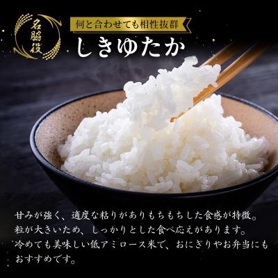 ふるさと納税 加西市 【令和8年産 先行受付】しきゆたか 白米 10kg