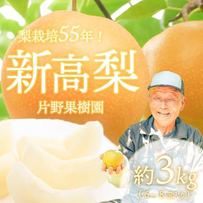 ふるさと納税 八千代町 [2026年09月下旬以降発送] 片野果樹園 新高梨 約3kg 新高 産地直送 [AD022ya]
