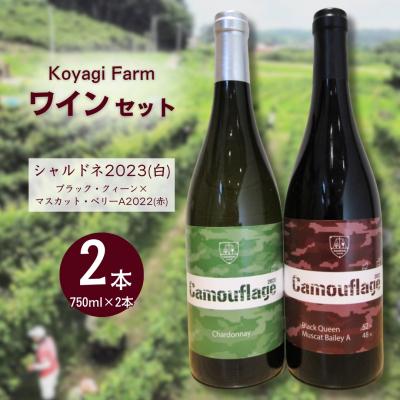 ふるさと納税 南相馬市 ワイン 2本セット ブラック・クィーン×マスカット・ベリーA シャルドネ | コヤギファーム