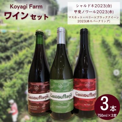 ふるさと納税 南相馬市 ワイン 3本セット シャルドネ 甲斐ノワール マスカットベリー×ブラッククイーン | コヤギファーム