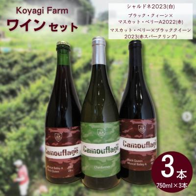 ふるさと納税 南相馬市 ワイン 3本セット シャルドネ ブラッククイーン×マスカットベリー ほか | コヤギファーム