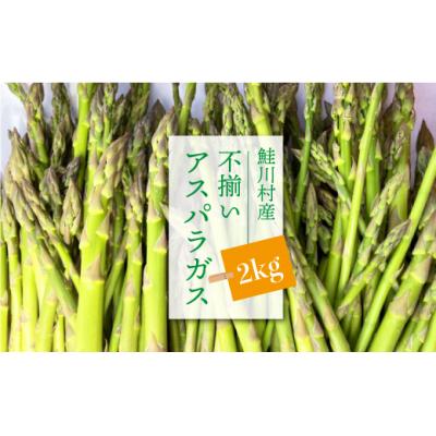 ふるさと納税 鮭川村 鮭川村産 不揃いアスパラガス 2kg