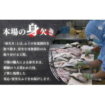 ふるさと納税 下関市 とらふぐ料理 セット 3人前 刺身 ふぐちり KA-OK102
