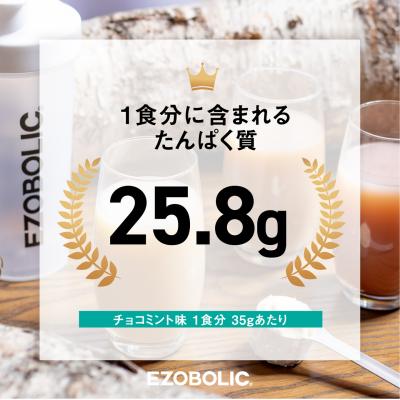 ふるさと納税 下関市 【チョコミント風味】 EZOBOLIC プロテイン 3kg 