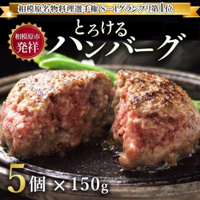ふるさと納税 相模原市 とろけるハンバーグ5個セット | 国産牛100% 黒毛和牛 冷凍