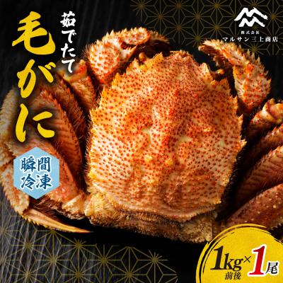 ふるさと納税 札幌市 茹でたて毛がに(瞬間冷凍)1kg前後_hs067-014