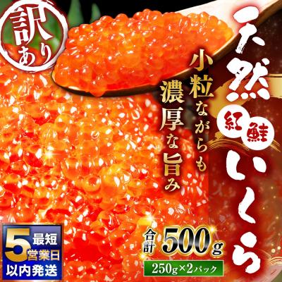 ふるさと納税 釧路市 [決済より5営業日程度で発送] 紅鮭いくら醤油漬け 500g (250g×2)冷凍