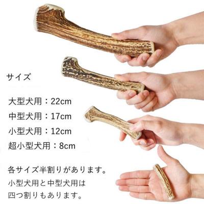 ふるさと納税 釧路市 エゾ鹿の角ガム 22cm 大型犬用 半割り 2個 北海道産 犬用ガム F5F-0065の画像