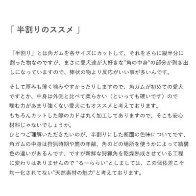 ふるさと納税 釧路市 エゾ鹿の角ガム 17cm 中型犬用 半割り 2個 北海道産 犬用ガム F5F-0061の画像