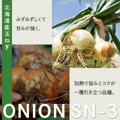 ふるさと納税 岩見沢市 【先行予約】畑から 直送 の 新鮮野菜!玉ねぎ(SN-3) 20kg [a168-003]の画像
