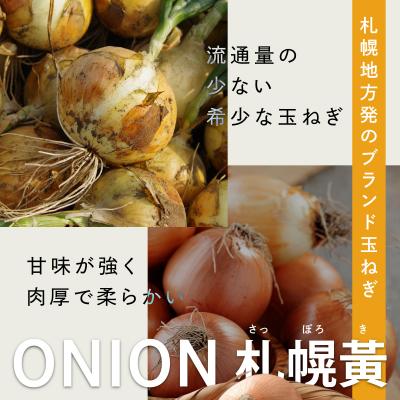 ふるさと納税 岩見沢市 【先行予約】幻の玉ねぎ!札幌黄(さっぽろき)5kg [a168-010]の画像
