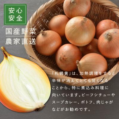 ふるさと納税 岩見沢市 【先行予約】幻の玉ねぎ!札幌黄(さっぽろき)5kg [a168-010]の画像