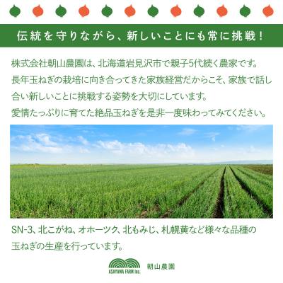 ふるさと納税 岩見沢市 【先行予約】幻の玉ねぎ!札幌黄(さっぽろき)20kg [a168-012]の画像