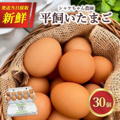 ふるさと納税 相模原市 シャケちゃん農園の平飼い卵 30個 | 新鮮 鶏卵 玉子 たまご 生卵 ※離島への配送不可