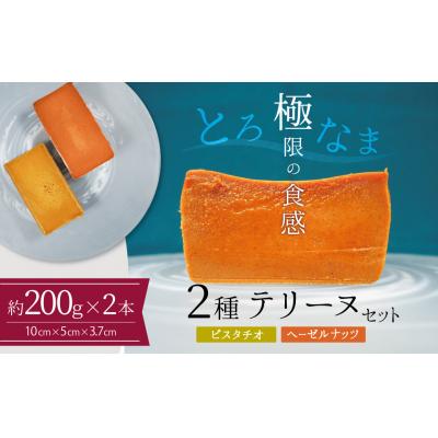 ふるさと納税 碧南市 [テリーヌ専門店L](約200g)ピスタチオ・ヘーゼルナッツの2種のテリーヌセット