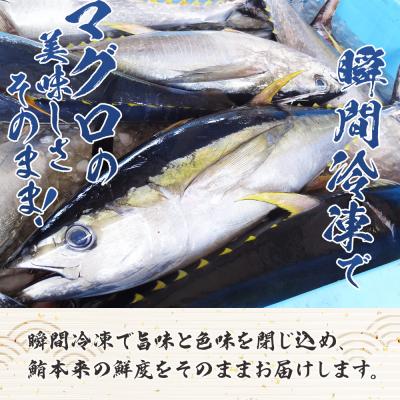 ふるさと納税 香南市 【3回定期便】まぐろ柵 8袋(800g以上) - 国産 刺身 漬け丼 Wnz-0088の画像
