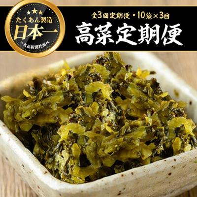 ふるさと納税 曽於市 [3回定期]九州高菜(200g×10袋×3回)
